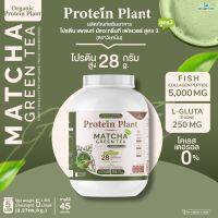 Protein Plant โปรตีนแพลนท์ สูตร 3 (รสชาเขียว มัทฉะ) ขนาด 2.27 kg./กระปุก (5 ปอนด์ 5LBS) ทานได้ 45 ครั้ง โปรตีนพืช 5 ชนิด คอลลาเจนเปปไทด์ แอลกลูต้าไธน