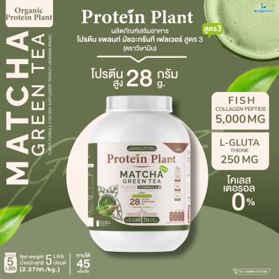 Protein Plant โปรตีนแพลนท์ สูตร 3 (รสชาเขียว มัทฉะ) ขนาด 2.27 kg./กระปุก (5 ปอนด์ 5LBS) ทานได้ 45 ครั้ง โปรตีนพืช 5 ชนิด คอลลาเจนเปปไทด์ แอลกลูต้าไธน