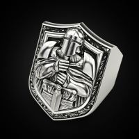 New Paladin Knight Vintage Ring Stainless Steel Mens Aggressive Ring