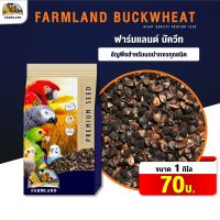 FarmLand Buckweed อาหารนก บัควิต ( ขนาด 1 กก )