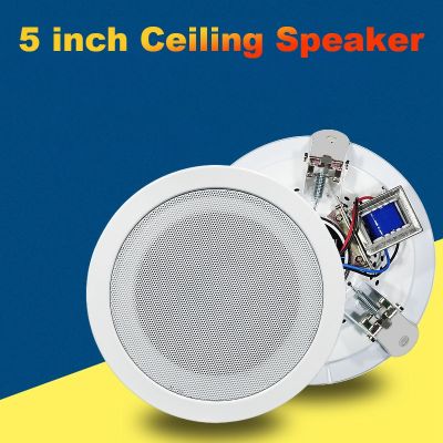 5 Inch Ceiling Speaker 10W Loud Speaker Stereo Sound for Public Address Background Music Audio(Level Pressure)