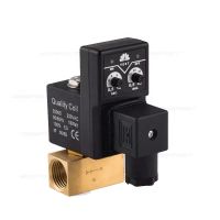 Electric Solenoid Drain Valve AC220V DC24V Brass Valve Time Control  Water Solenoid Valve Suitable for Liquid  Gas  Oil  Water Valves