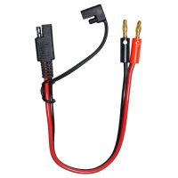 14AWG 30Cm SAE Ke 4Mm Colokan Peluru Pisang Kabel Pengisi Daya Baterai untuk Mobil dan Panel Surya Kabel Konektor Pengisi Daya