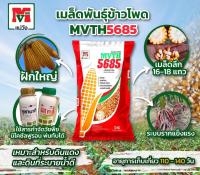 เมล็ดพันธุ์ข้าวโพดอาหารสัตว์ MVTH 5685 บรรจุ 10 กิโลกรัม