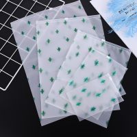 【CW】✉✖  1PC Transparent Cactus Printed Makeup Storage Zip Lock Organizer Shoes Packing