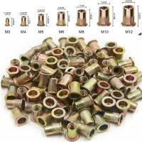 M3 M4 M5 M6 M8 M10 M12 Flat Head Rivet Nuts Set Nuts Insert Cap Reveting Zinc Plated Carbon Steel Threaded Rivet Nut Rivet Tool