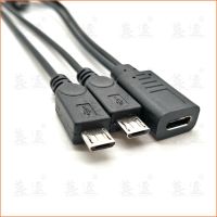 Hot Type-C to Type-C Micro 5P Female to 2 Male Y Splitter Charging Extension Cable