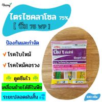 ไตรไซคลาโซล - บีม 100 กรัม ป้องกันและกำจัด โรคใบไหม้ โรคไหม้คอรวง โรคเน่าคอรวง