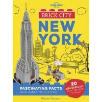 LONELY PLANET BRICK CITY NEW YORK (1ST ED.)