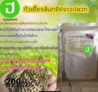 หัวเชื้อจุลินทรีย์จาวปลวกแท้100% ส่งฟรี ชนิดเชื้อแท้ขยายไวเห็นผล