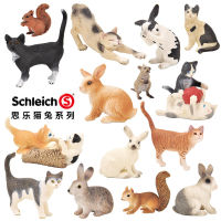 ? Sile Toy Store~ Siler Schleich German Male Cat White Rabbit Rabbit Squirrel Simulation Farm Animal Livestock Model