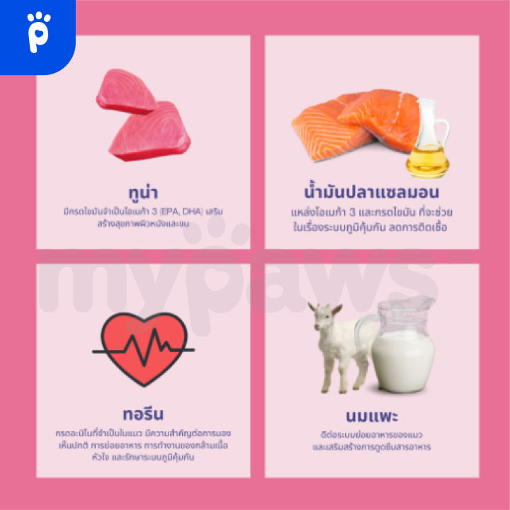 my-paws-moochie-อาหารแมว-มูส-สำหรับน้องแมวตั้งแต่-1-เดือนขึ้นไป