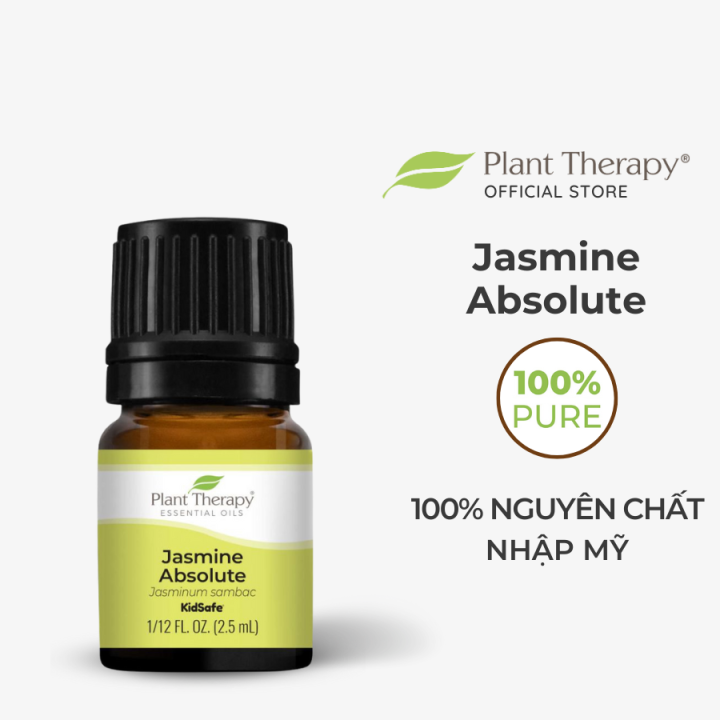 Jasmine Absolute – Plant Therapy