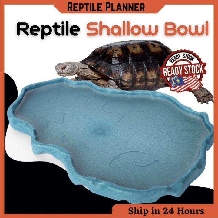 Tortoise Water Bowl Food Feeding Dish Reptile Lizard Snake Bowl Basin ...