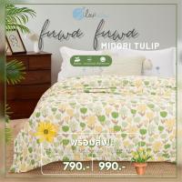 Zleepsleep : New ผ้าห่ม Fuwa Fuwa สไตล์ญี่ปุ่น ลายใหม่ล่าสุด!!!!! Midori Tulip 3.5 ฟุต