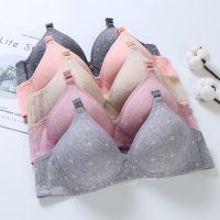 5 Colors bralette cotton soft cotton bra hot daughter young girl students sexy Lace Bralette tops wire free lingerie push up C09