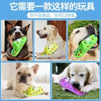 [COD] cat dog sounding toy colorful slippers molar magic teddy ​​toy