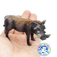 Munich Play - โมเดลสัตว์ Boar หมูป่า ขนาด 9.50 CM (จากหาดใหญ่)