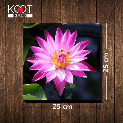 กรอบรูป กรอบลอย ติดผนัง ดอกไม้ ดอกบัว ( ขนาด 25 X 25 ซม. )