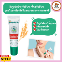 Himalaya Herbals Lip Balm หิมาลายา ลิปบาล์ม กลิ่นหอม บำรุงปากนุ่มชุ่มชื่น