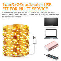 ไฟเส้นLEDตกแต่งสำหรับคริสต์มาสวันหยุด, ไฟ10เมตร 5เมตร ลวดสีเงินพร้อมปลั๊กUSB