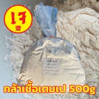 ?กล้าเชื้อเตมเป 100-500g หัวเชื้อเทมเป้ ✅เชื้อใหม่เก็บได้ 2 ปี (เพาะเชื้อในห้องlabในไทย ได้เชื้อคุณภาพดี เหมาะสมเพาะง่าย)