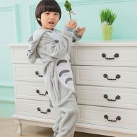 Kigurumi Totoro Onesie Women Anime Cosplay pajama Animal Carnival Homwear Cartoon Animal Sleepwear Homewear