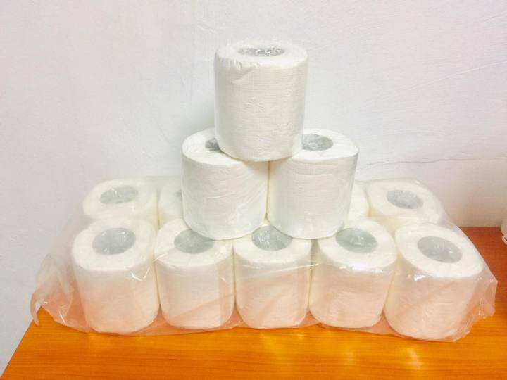 Bathroom Tissue Paper 10 rolls in a bag Lazada PH
