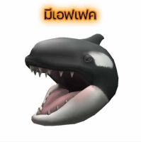 Hungry Orca ของแต่งตัวละคร Roblox