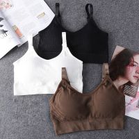 Bra Olahraga Seamless ชุดชั้นในโยคะเสื้อฟิตเนสสำหรับผู้หญิงสีดำสีขาววิ่งโยคะยิมเสื้อครอปสตรีดันบราทรงสปอร์ต Bh