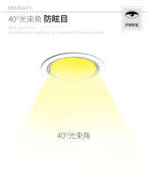 Embedded Waterproof Ip65 Cob Ceiling 7w 12W 15w AC85-265V Warm White Bathroom Kitchen Ho Shower Room LED Downlight