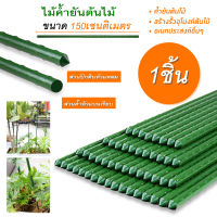 ไม้ค้ำยันต้นไม้ ไม้ค้ำต้นไม้ ค้างต้นไม้ ซุ้มต้นไม้ ค้างผัก plants support stick หนา 11 มม. ยาว 60-180 ซม.พร้อมส่งจากไทย