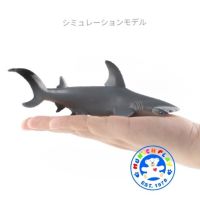 Munich Play - โมเดล Hammer Shark ปลาฉลาม หัวฆ้อน ขนาด 17.00 CM (จากหาดใหญ่)