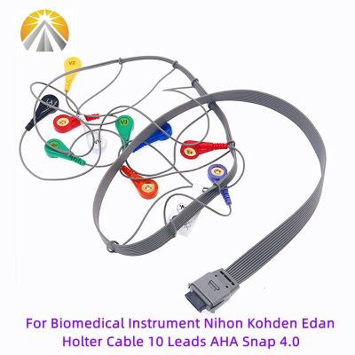สาย Nihon Kohden เอเดนโฮลเตอร์ BI9000 BI6803เครื่องมือชีวการแพทย์สายตะกั่ว26พิน10สาย4.0 AHA