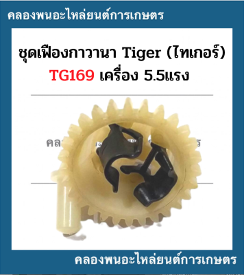 เฟืองกาวานา ไทเกอร์ TG169 5.5แรง เฟืองกาวานาไทเกอร์ ชุดเฟืองกวานาไทเกอร์ เฟืองกาวานาTG169 เฟืองกาวานา5.5แรง ชุดกาวานาTG169