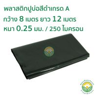 HOT** พลาสติกปูบ่อ PE ผ้าใบปูบ่อ หนา 0.25มม ขนาด กว้าง 8 เมตร ยาว 12 เมตร สีดำ ส่งด่วน ผ้าใบและอุปกรณ์ ผ้าใบ และ อุปกรณ์