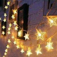 2.5M 3M 20 LED Snowflake Star String Lights / USB Battery Operated Wire Starry Fairy Lights