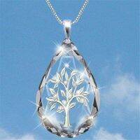 【cw】 Transparent Pendant Necklace Jewelry ！