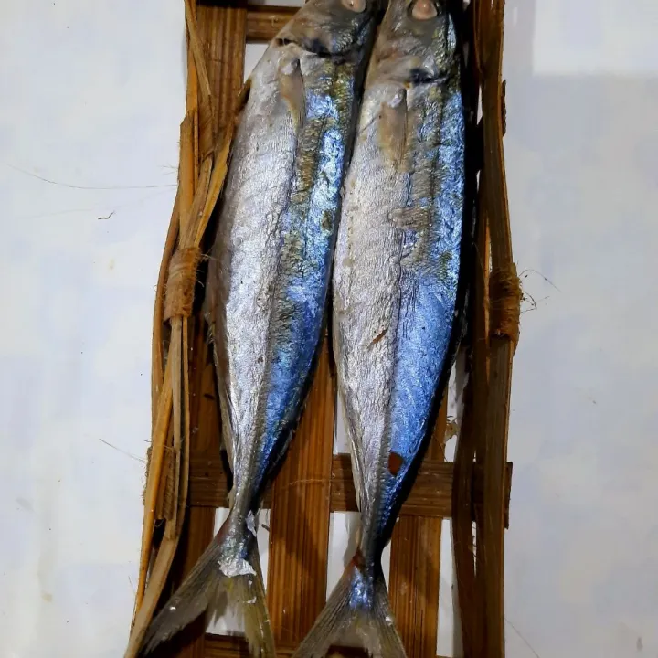 Ikan cue keranjang Lazada Indonesia