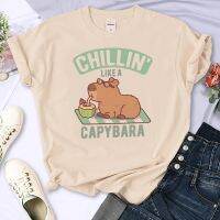 เสื้อยืดเสื้อยืดผู้หญิงฮาราจุกุ Capybara เสื้อผ้า Y2k เด็กผู้หญิง