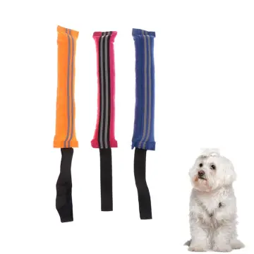 Outdoor toys hotsell for small dogs