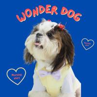 wonder dog เสื้อสุนัข เสื้อสุนัขเล็ก เสื้อแมวน่ารัก ชุดกันขนร่วงสุนัข เสื้อกันหนาวน้องหมา ชุดกระโปรงสัตว์ รุ่น Morning shirt