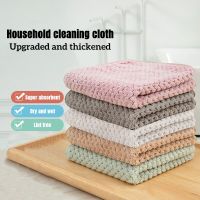 5Pcs Kitchen Cleaning Rag Coral Velvet Dish Washing Cloth Super Absorbent Scouring Pad Dry and Wet Dishcloth Cleaning Towels Dish Cloth  Towels