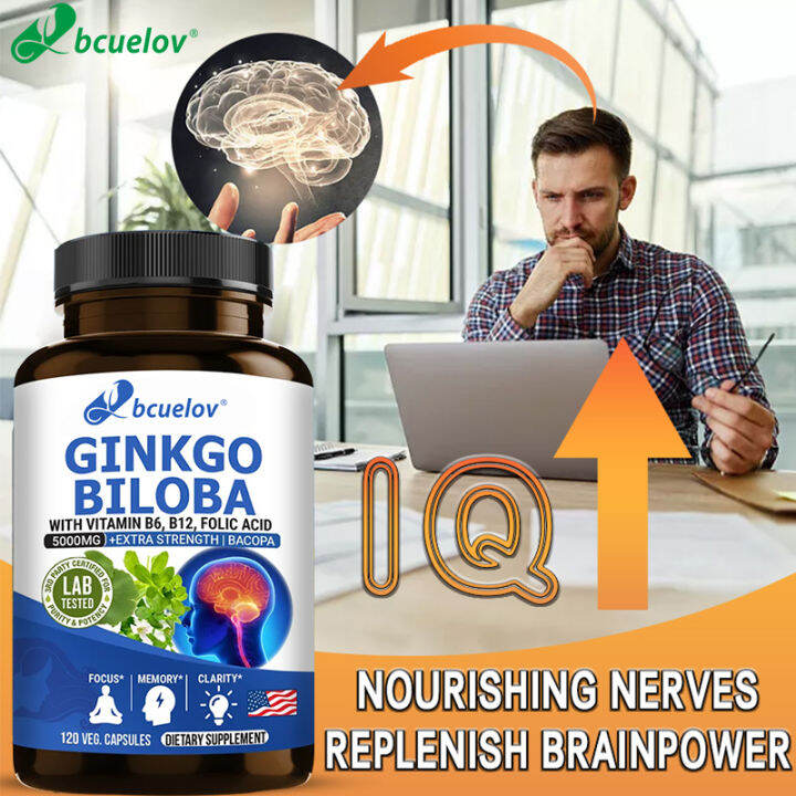 Ginkgo biloba extract, improves memory and brain power, helps IQ growth