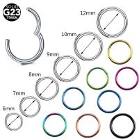 G23 Titanium Nose Rings Round Clicker Hinged Segment Hoop Earring Ear Daith Earring Septum Piercing Body Jewelry 20G-10G Body jewellery