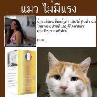 ด่วนโปร ส่งฟรี แมว เดิน ขา หลัง กะเผลก แมวกล้ามเนื้ออักเสบ แมวเดินขาลาก แมวขาบวม เดินกะเผลก วิธี ดู ว่า แมวขาหัก หรือ ไม่ แมวเจ็บขา ค่า