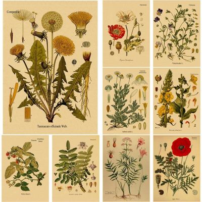 ◄❇☜ พืชสมุนไพรพฤกษศาสตร์ดอกไม้ Retro โปสเตอร์พืชป่าศึกษากระดาษคราฟท์ DIY Vintage Home Room Decor Aesthetic Art Wall ภาพวาด