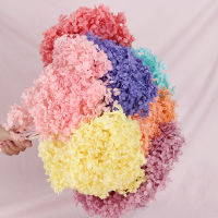 【Cw】15-20gLot Colorful Preserved Hydrangea Home Decoration Display Flower Bunch For Wedding Craft DI Y Flowers Material Accessorie ！