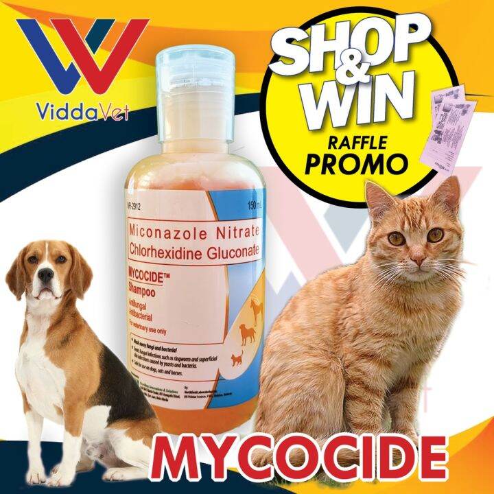 Mycocide Antifungal and Antibacterial Shampoo for Dogs Cats and Horse