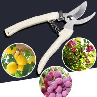 DFJET Secateurs การตัดแต่งกิ่ง บ้าน กรรไกรสวน บอนไซ เครื่องมือการปลูกถ่ายอวัยวะ เครื่องตัดแต่งกิ่ง